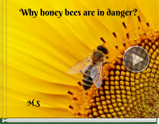 Book titled 'Why honey bees are in danger?'