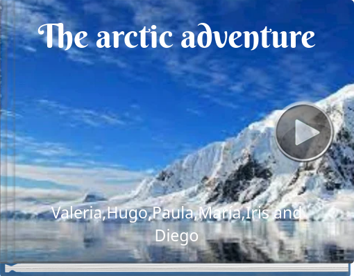 Book titled 'The arctic adventure'