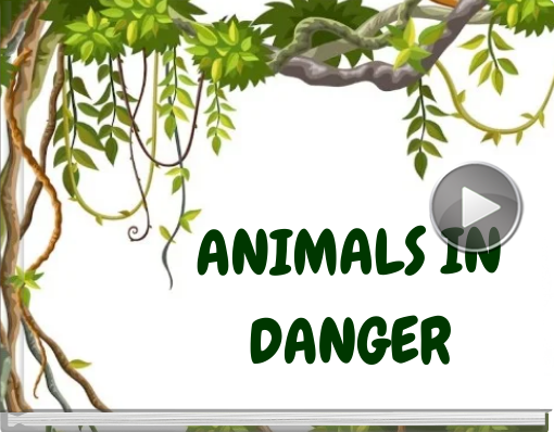 Book titled 'ANIMALS IN DANGER'