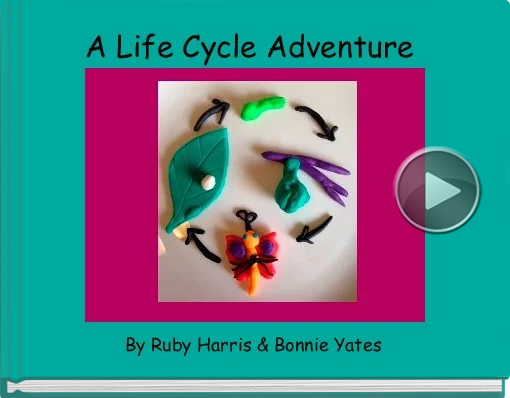 Book titled 'A Life Cycle Adventure'