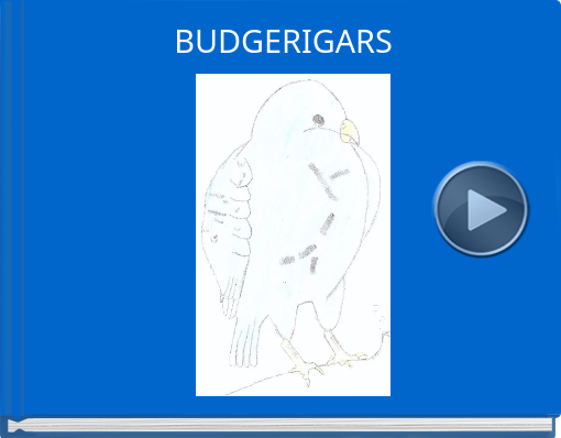 Book titled 'BUDGERIGARS'