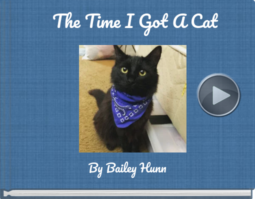 Book titled 'The Time I Got A Cat'