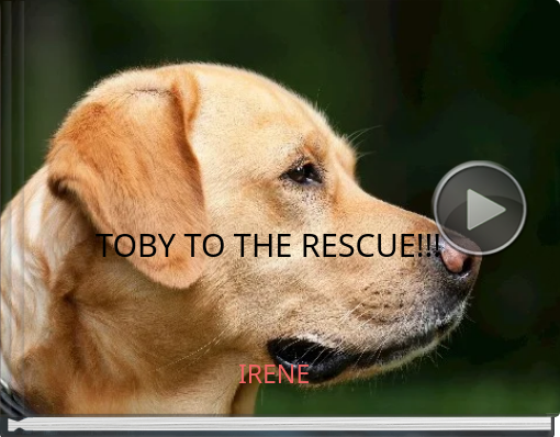 Book titled 'TOBY TO THE RESCUE!!!'