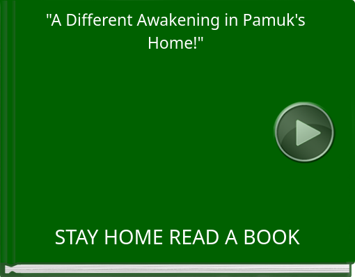 Book titled ''A Different Awakening in Pamuk's Home!''