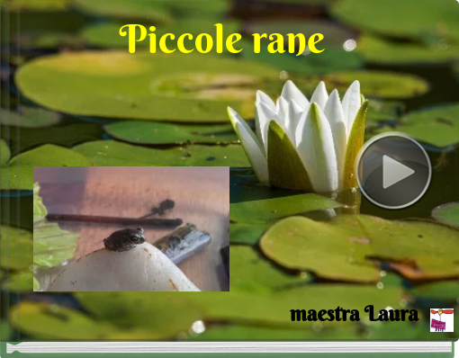 Book titled 'Piccole rane'