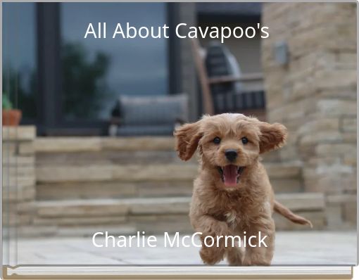 All About Cavapoo's&nbsp;