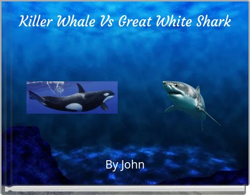 Killer Whale Vs Great White Shark