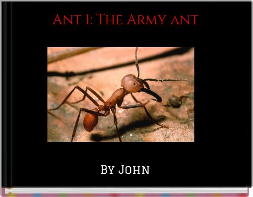 Ant 1: The Army ant