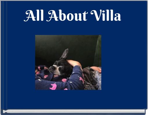 All About Villa