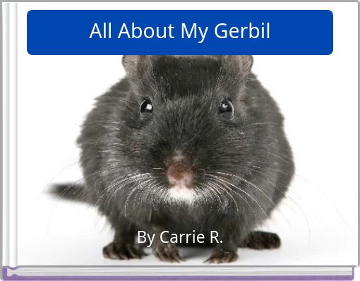 All About My Gerbil