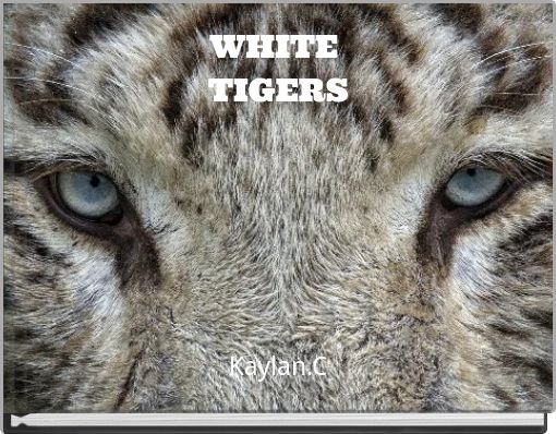 WHITE&nbsp;TIGERS