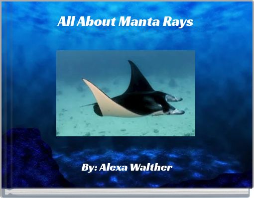 All About Manta Rays