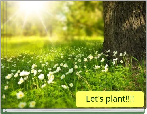 Let's plant!!!!