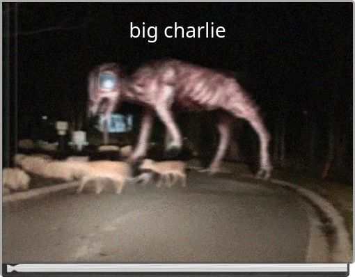 big charlie