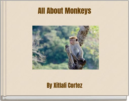All About Monkeys