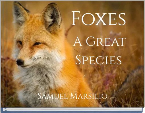 Foxes A Great Species