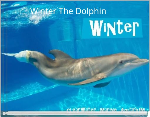 Winter The Dolphin