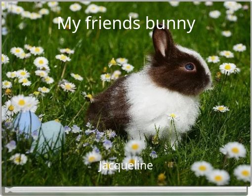My friends bunny