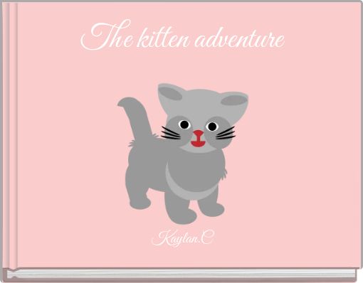 The kitten adventure