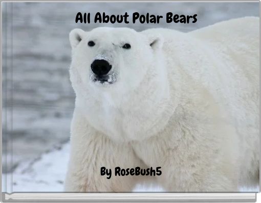 All About Polar Bears