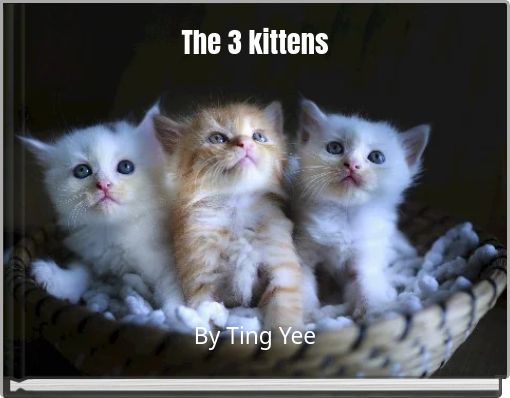 The 3 kittens