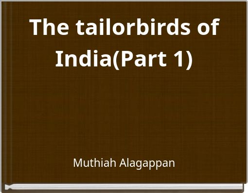 The tailorbirds of India(Part 1)