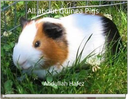 All about Guinea Pigs