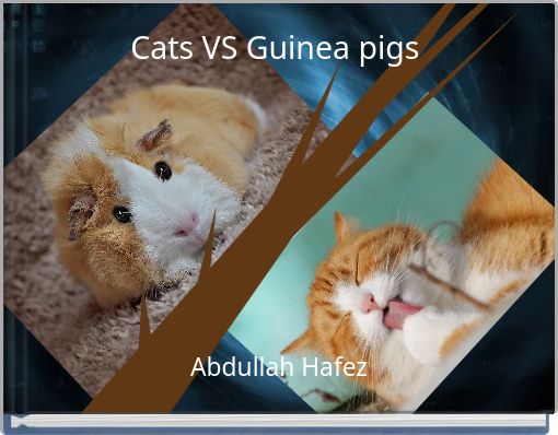 Cats VS Guinea pigs