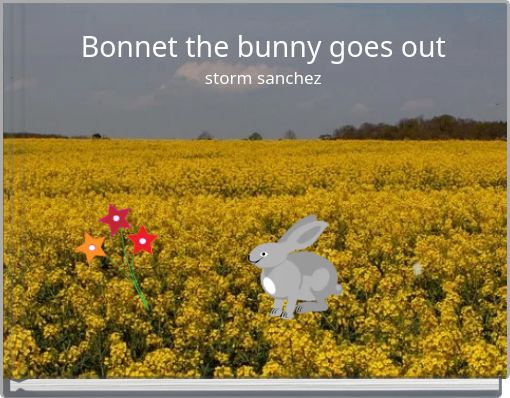 Bonnet the bunny goes outstorm sanchez