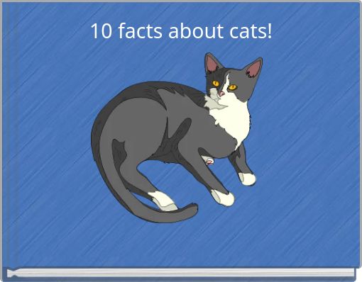 10 facts about cats!