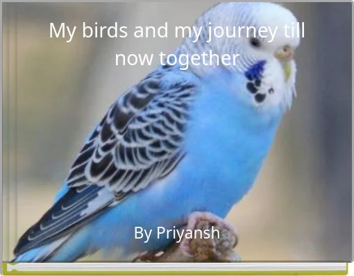 My birds and my journey till now together
