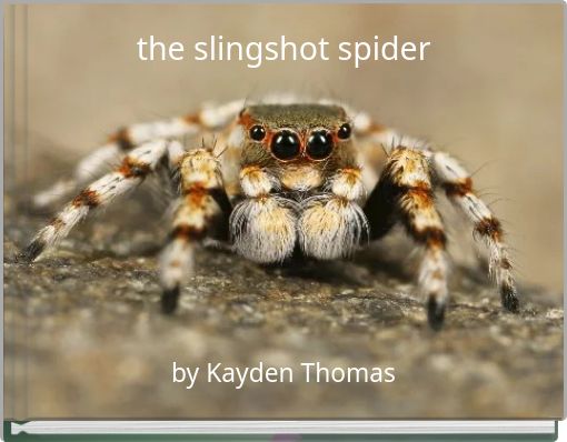 the slingshot spider