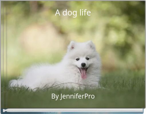 A dog life