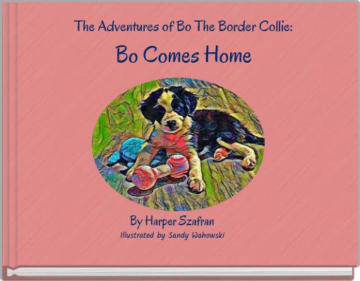 The Adventures of Bo The Border Collie: Bo Comes Home