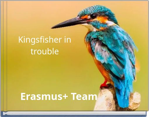 Kingsfisher in trouble