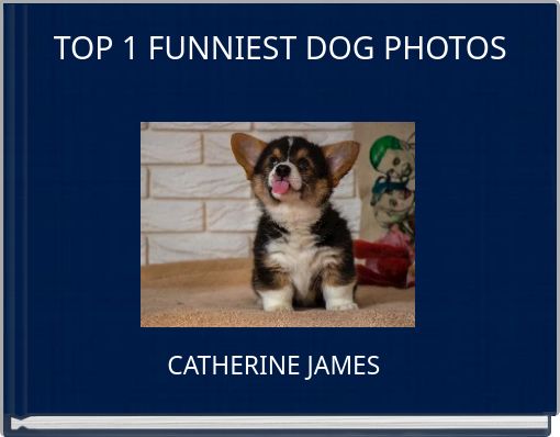 TOP 1 FUNNIEST DOG PHOTOS