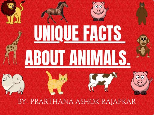 UNIQUE FACTS ABOUT ANIMALS.