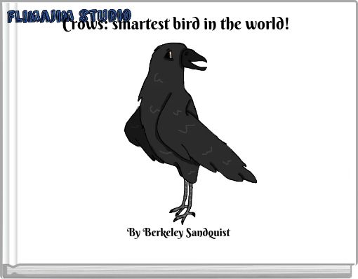 Crows: smartest bird in the world!