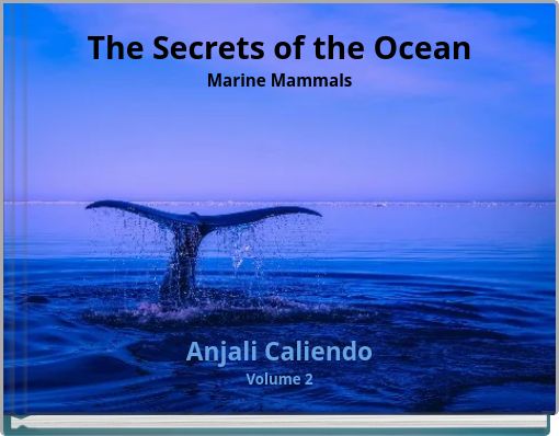 The Secrets of the Ocean Marine Mammals