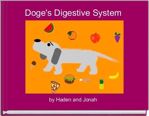 Doge's Digestive System
