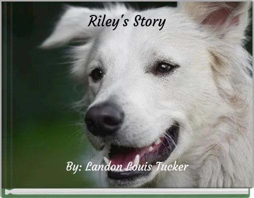 Riley's Story