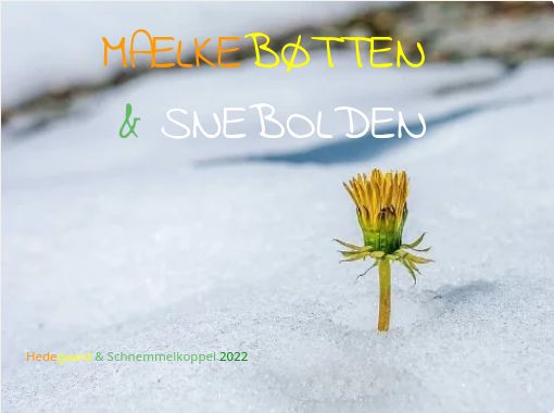 MÆLKEBØTTEN & SNEBOLDEN" - Free Create books for kids | StoryJumper