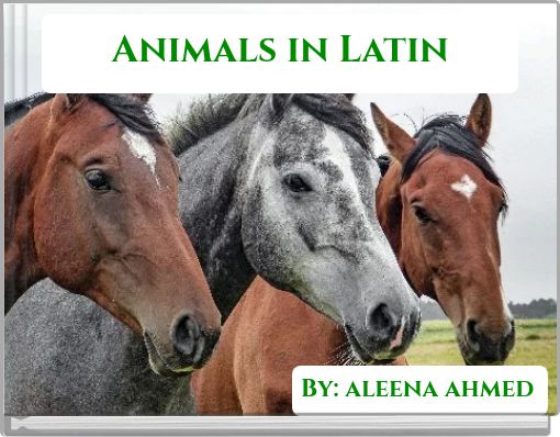 Animals in Latin