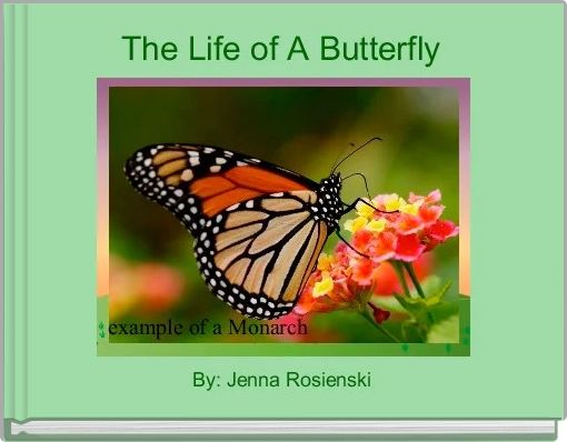 The Life of A Butterfly 