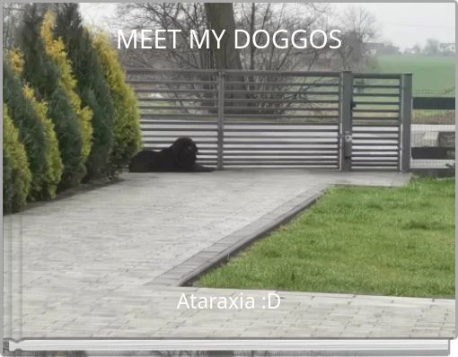 MEET MY DOGGOS