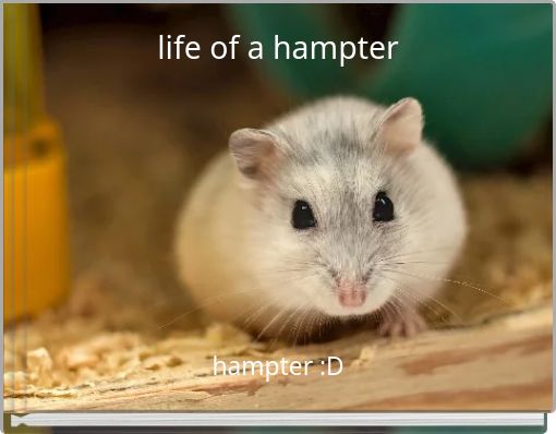 life of a hampter