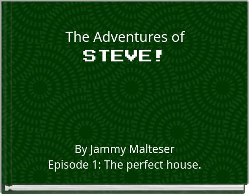 The Adventures of STEVE!
