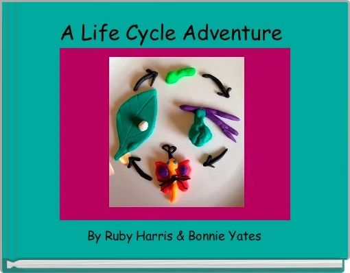A Life Cycle Adventure 