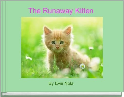 The Runaway Kitten 