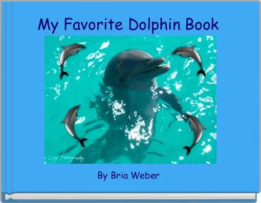 My Favorite Dolphin Book 